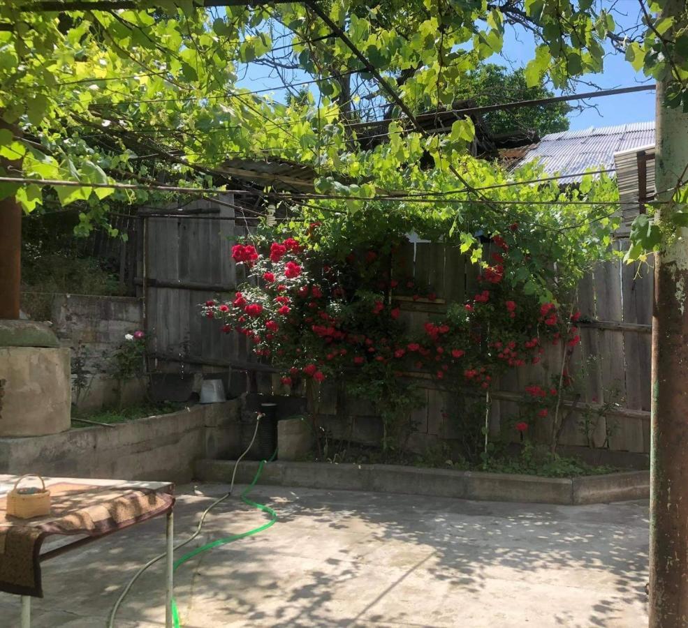 Guest House Anastasia Bordschomi Exterior foto
