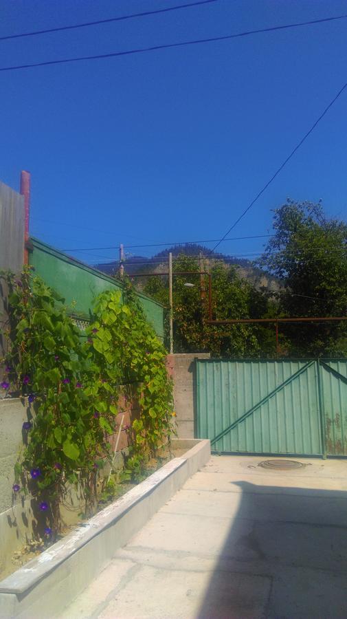 Guest House Anastasia Bordschomi Exterior foto